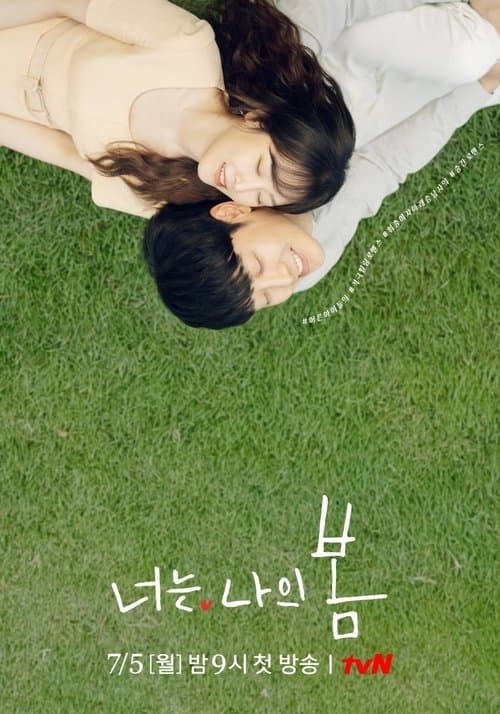 Affiche de You Are My Spring