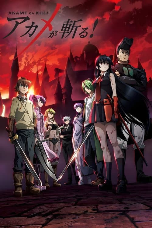 Affiche de Red Eyes Sword : Akame ga Kill!