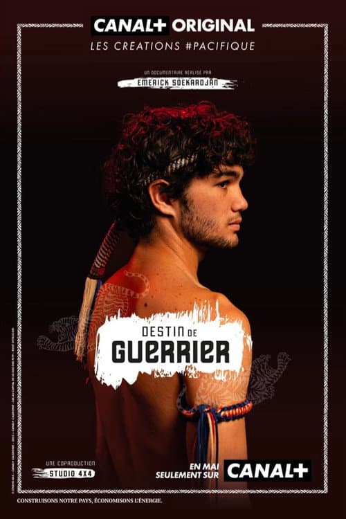 Affiche de Destin de guerrier