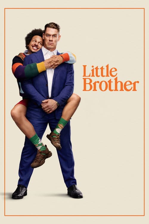 Affiche de Little Brother