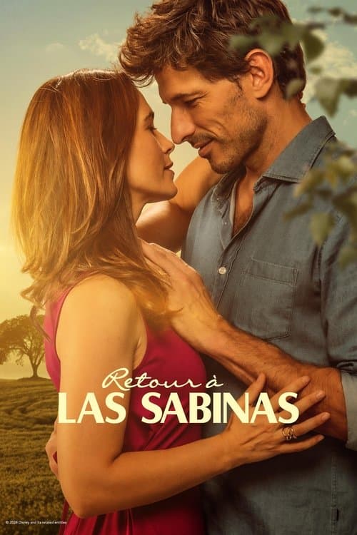 Affiche de Retour à Las Sabinas