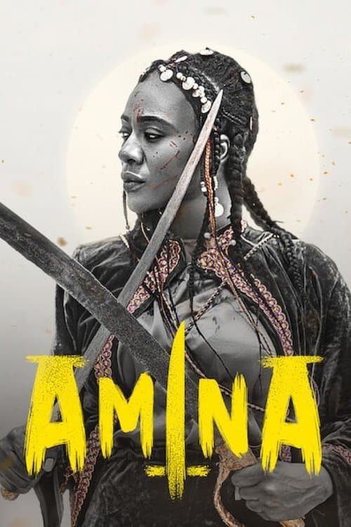 Affiche de Amina