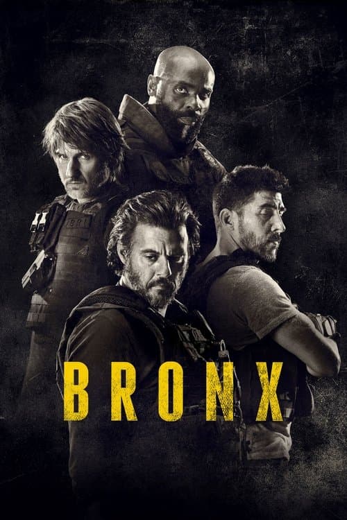 Affiche de Bronx