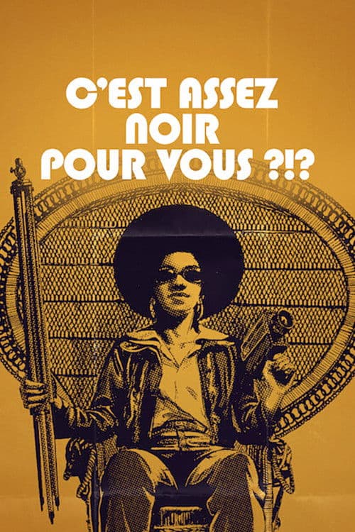 Affiche de C'est assez noir pour vous ?!?