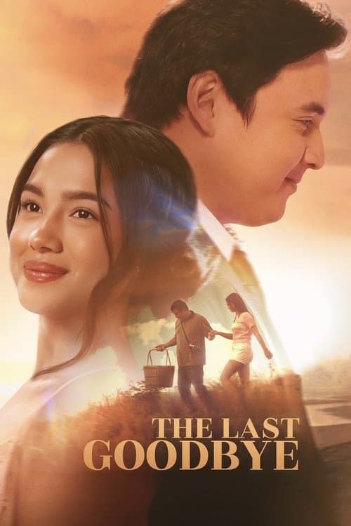 Affiche de The Last Goodbye