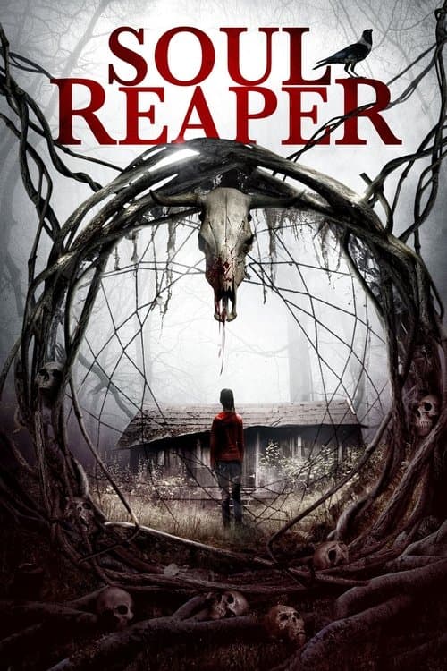 Affiche de Soul Reaper