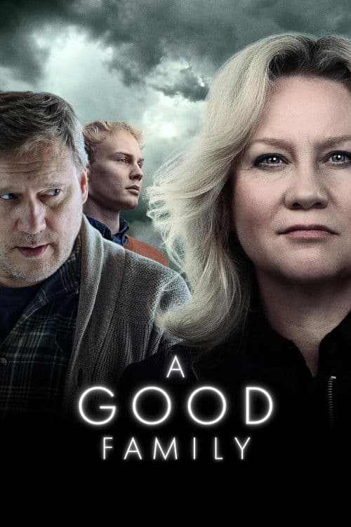 Affiche de A Good Family