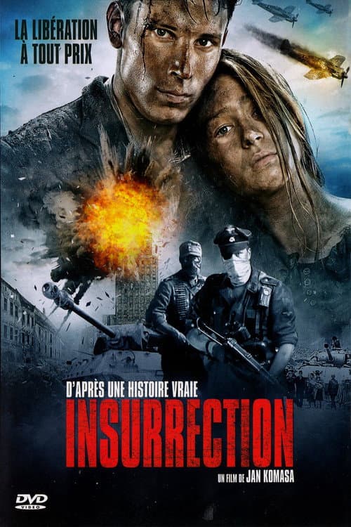 Affiche de Insurrection