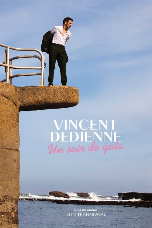 Affiche de Vincent Dedienne - Un soir de Gala
