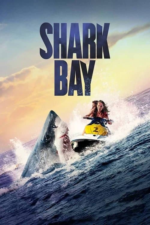 Affiche de Shark Bay