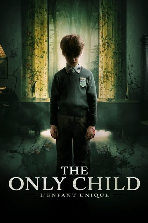 Affiche de The Only Child