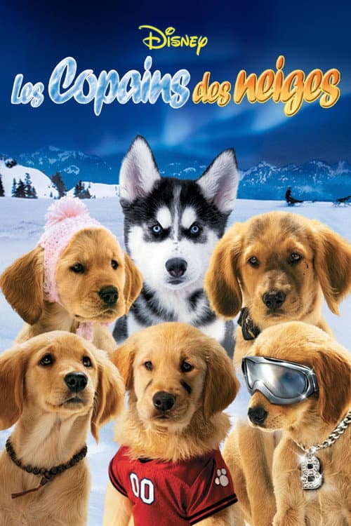 Affiche de Les Copains des neiges