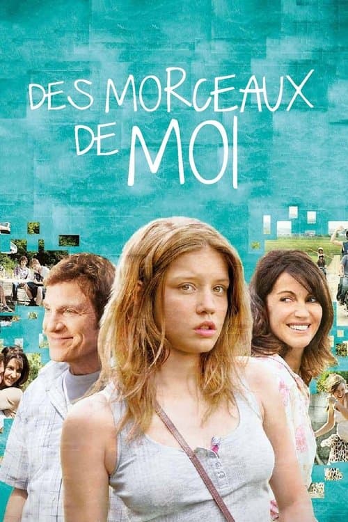 Affiche de Des morceaux de moi
