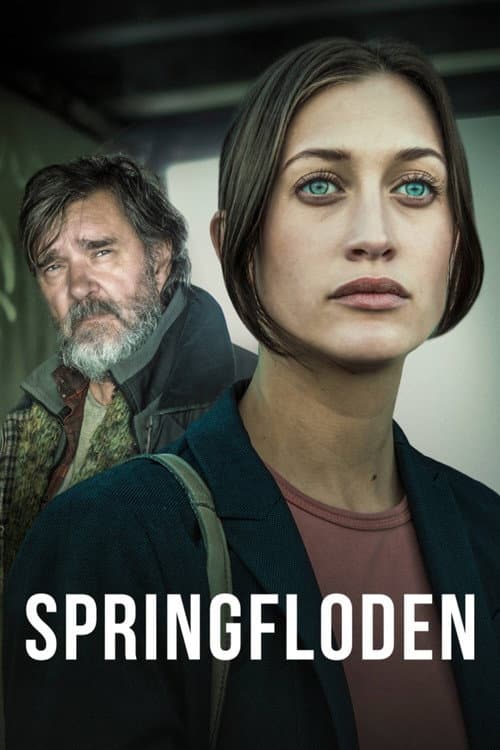 Affiche de Spring Tide