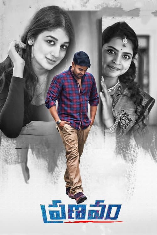 Affiche de ప్రణవం
