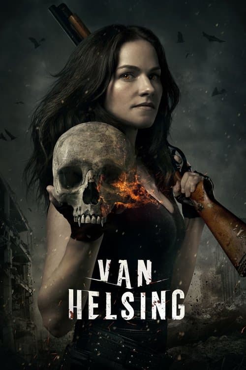 Affiche de Van Helsing