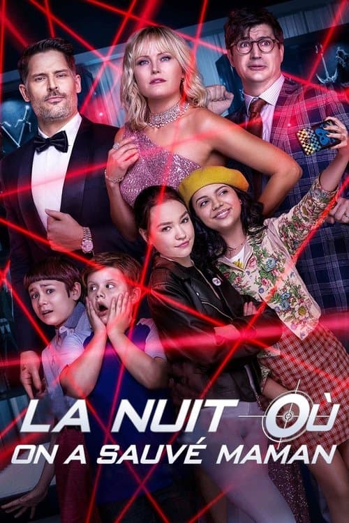 Affiche de La nuit où on a sauvé Maman
