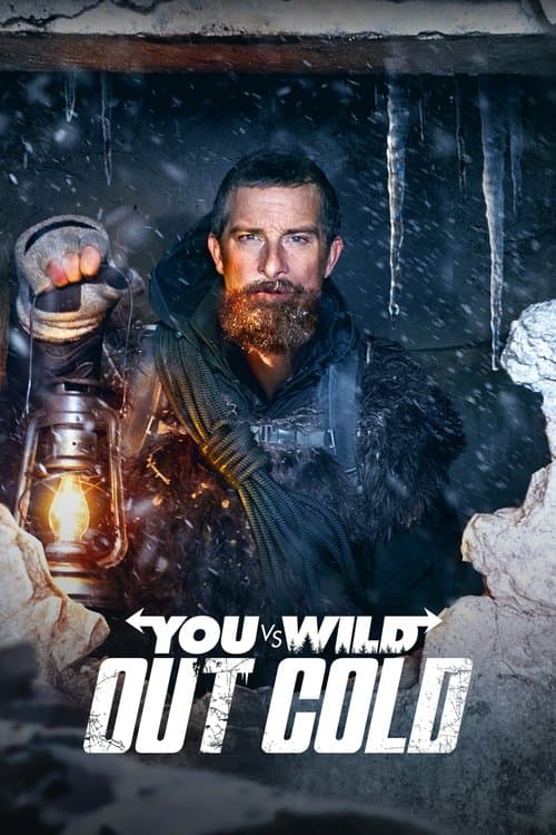Affiche de You vs. Wild : Gardons la tête froide