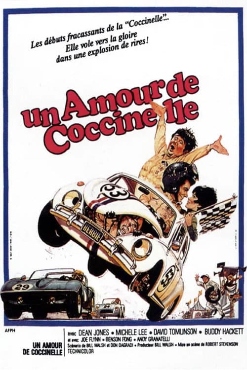 Affiche de Un amour de Coccinelle