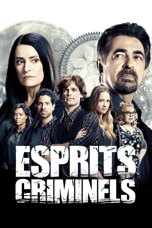 Affiche de Esprits criminels
