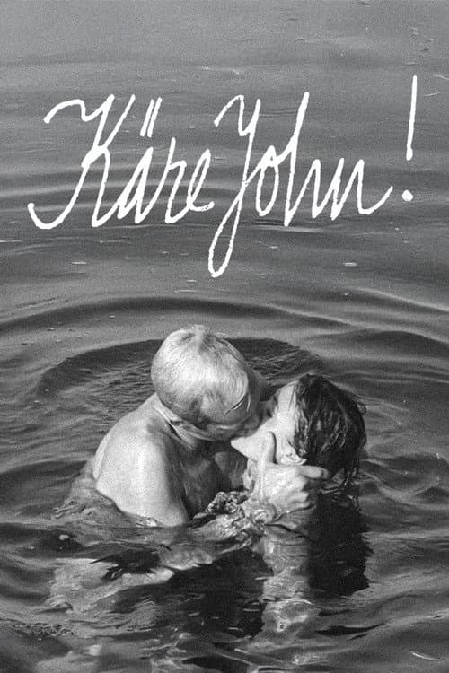 Affiche de Dear John