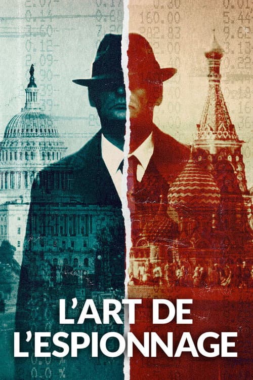 Affiche de L'Art de l'espionnage