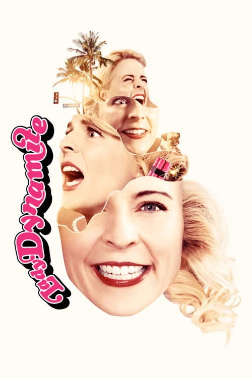 Affiche de Lady Dynamite