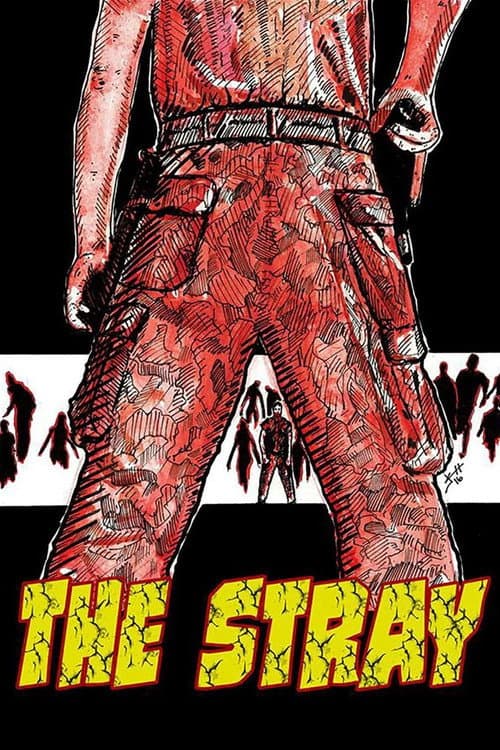 Affiche de The Stray