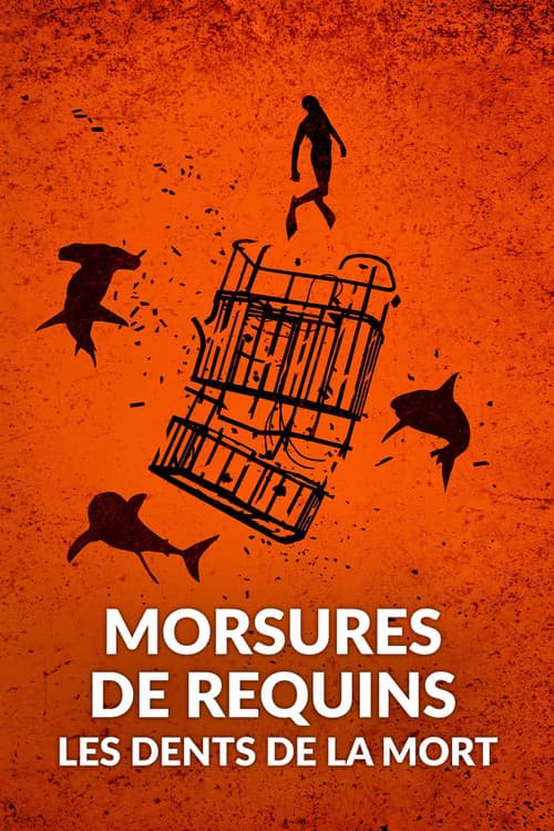 Affiche de Morsures de requins : les dents de la mort