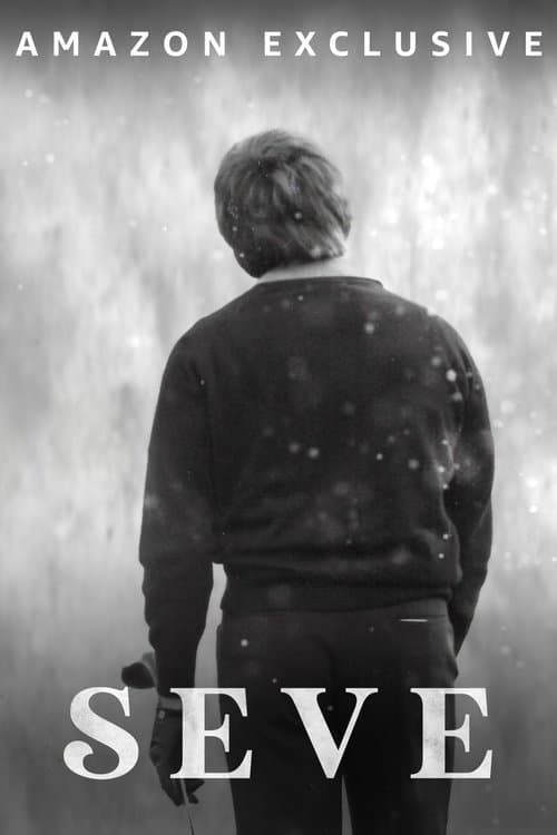 Affiche de Seve