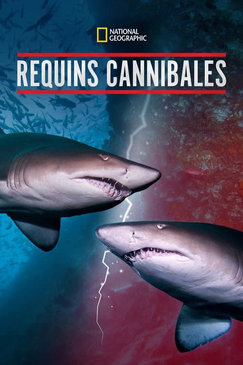 Affiche de Requins Cannibales
