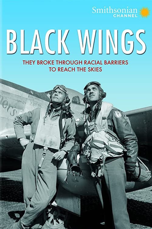 Affiche de L'aviation n'a pas de couleur