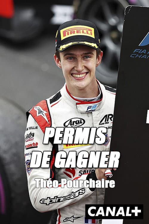 Affiche de Permis de gagner
