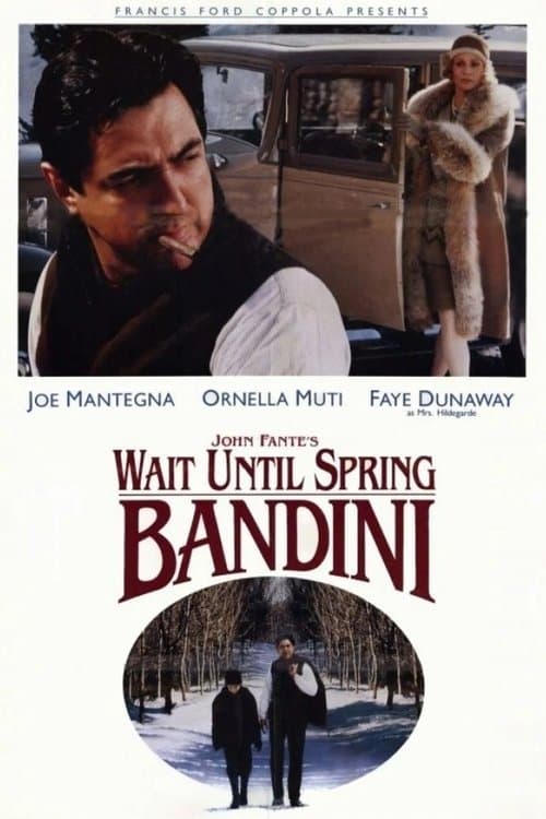Affiche de Bandini