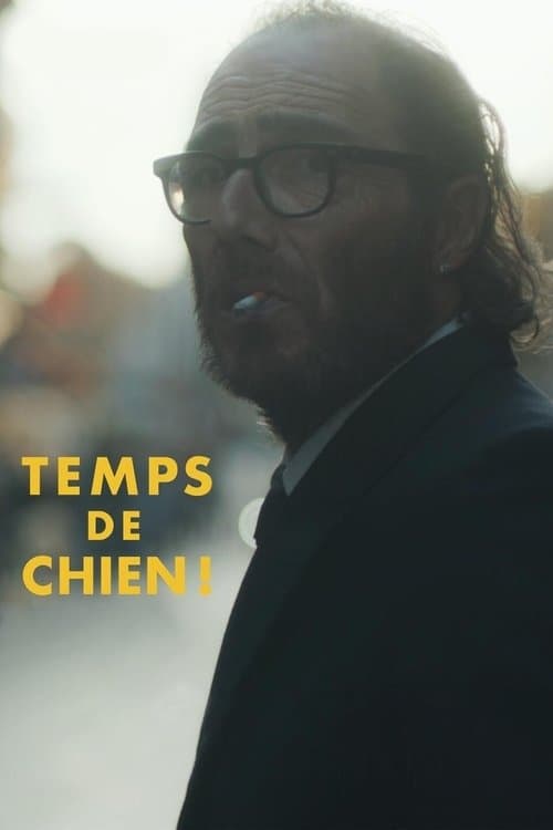Affiche de Temps de chien !