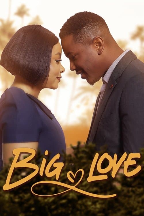 Affiche de Big Love