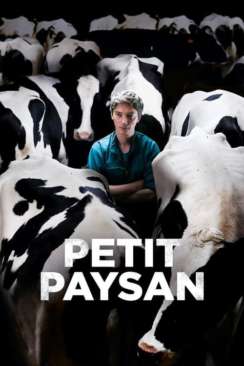 Affiche de Petit Paysan