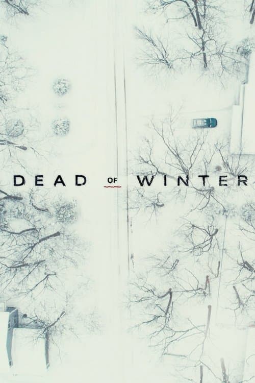 Affiche de Dead of Winter