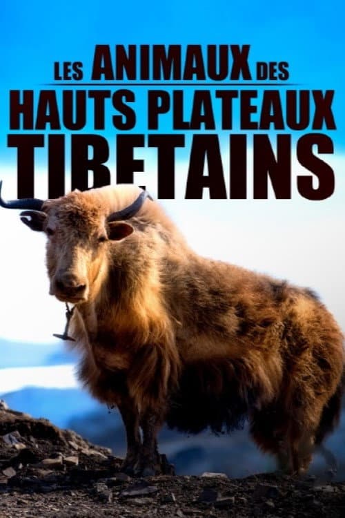 Affiche de Les animaux des hauts plateaux tibétains