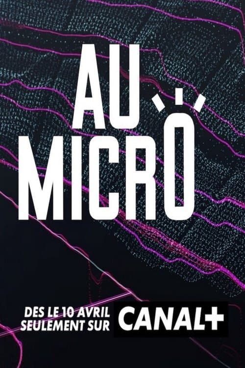 Affiche de Au micro !