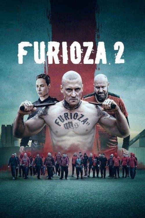 Affiche de Furioza 2