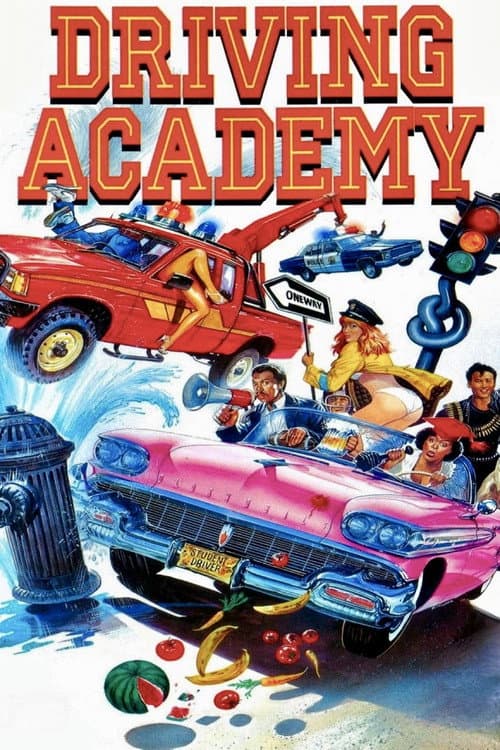 Affiche de Auto-école en folie