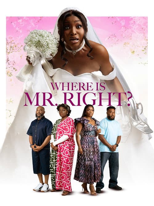 Affiche de Where is Mr Right
