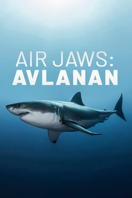 Affiche de Air Jaws: The Hunted