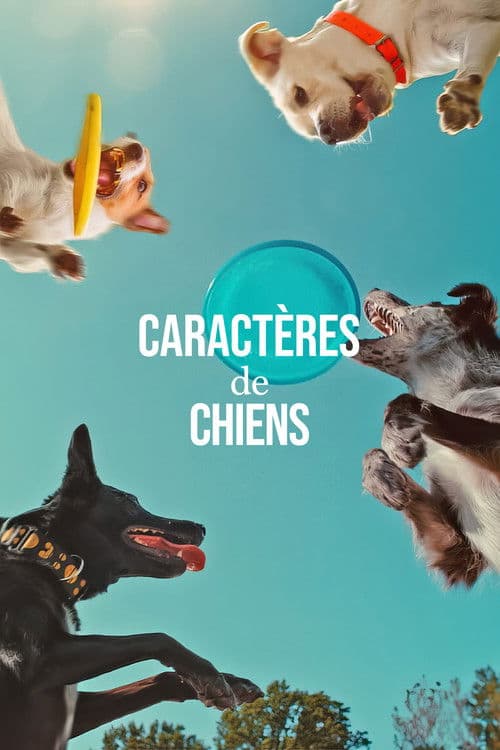 Affiche de Caractères de chiens