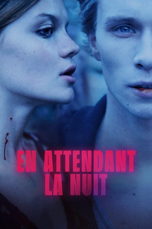 Affiche de En attendant la nuit