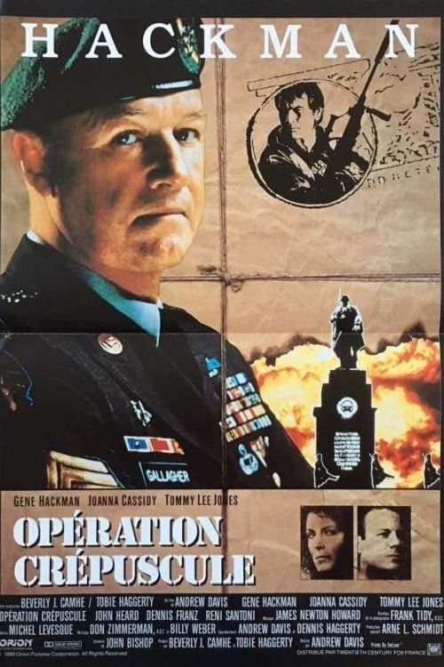 Affiche de Opération crépuscule