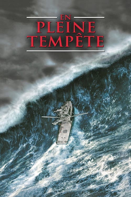 Affiche de En pleine tempête