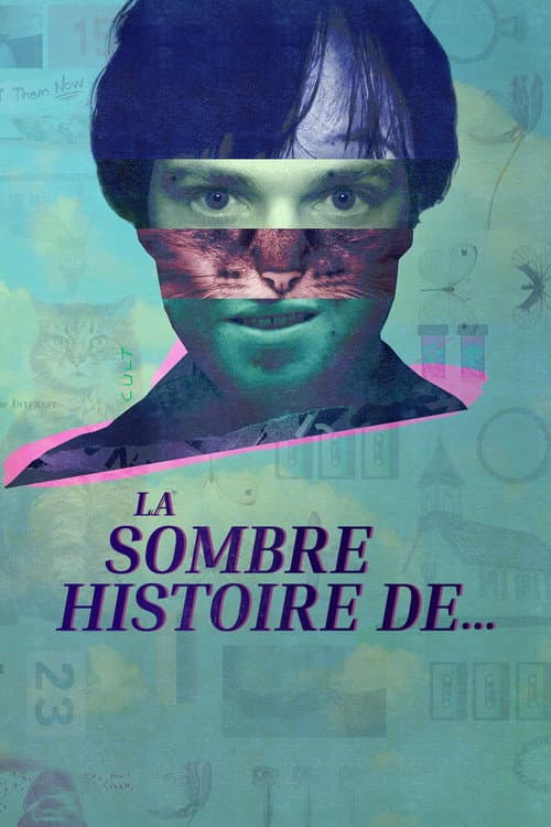 Affiche de La sombre histoire de...