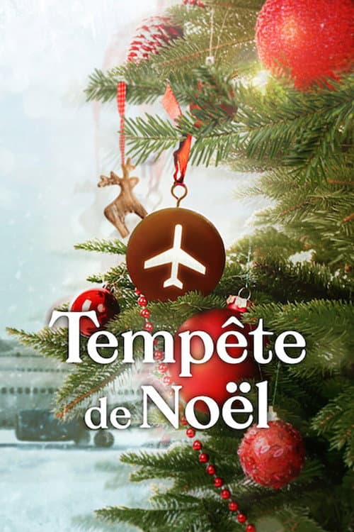 Affiche de Tempête de Noël